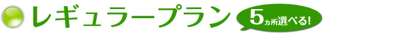 レギュラープラン