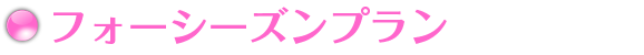 フォーシーズンプラン